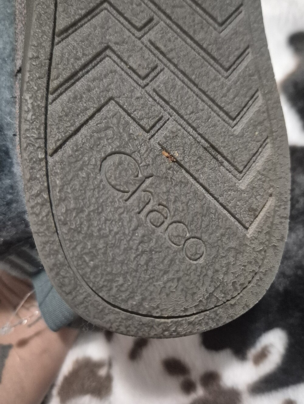 Chaco Gray Wool Chelsea Boot - Comfort Slip-On Bootie :9 - Picture 8 of 13